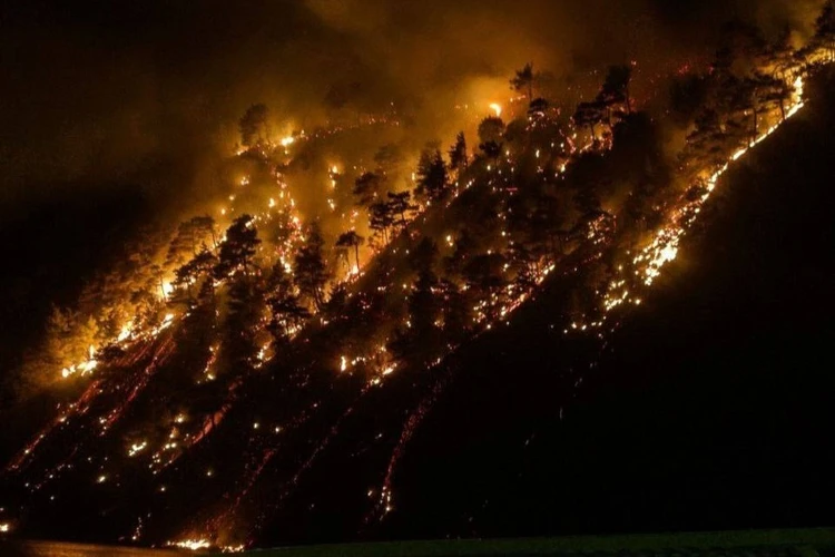 Пожары в Краснодарском крае