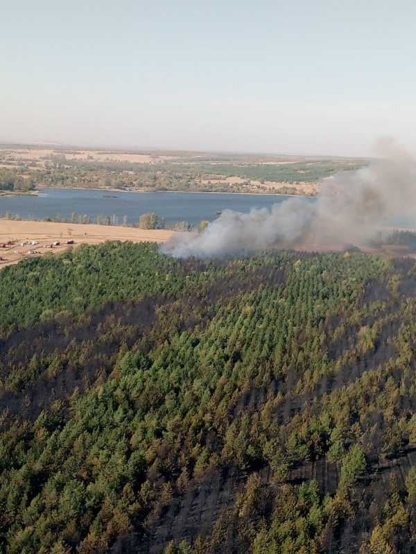 Пожар в Милютинском районе