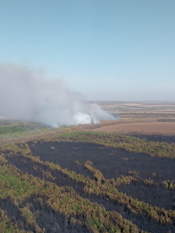 Пожар в Милютинском районе