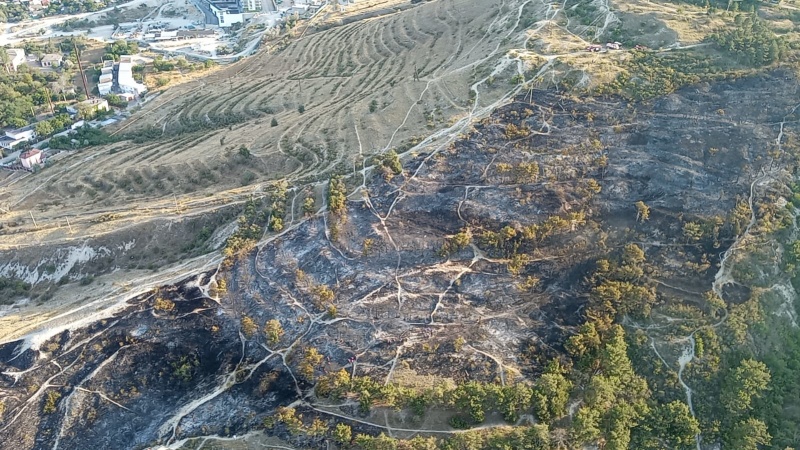 Ландшафтные пожары в Крыму