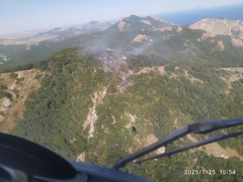 Ландшафтные пожары в Крыму