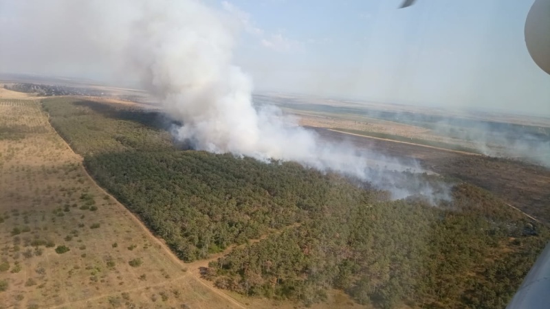 Пожар под Симферополем